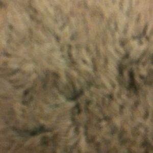 Meet your Posher, Natasha